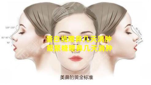 蛋白线隆鼻几天消肿 葡聚糖隆鼻几天消肿